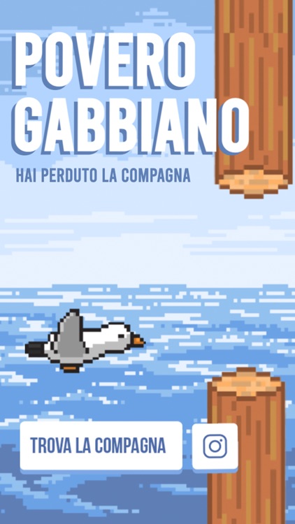 Povero Gabbiano