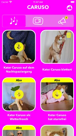 Game screenshot Kater Caruso apk