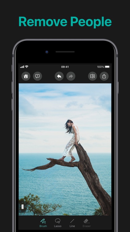 AiEraser: Remove Objects by AI