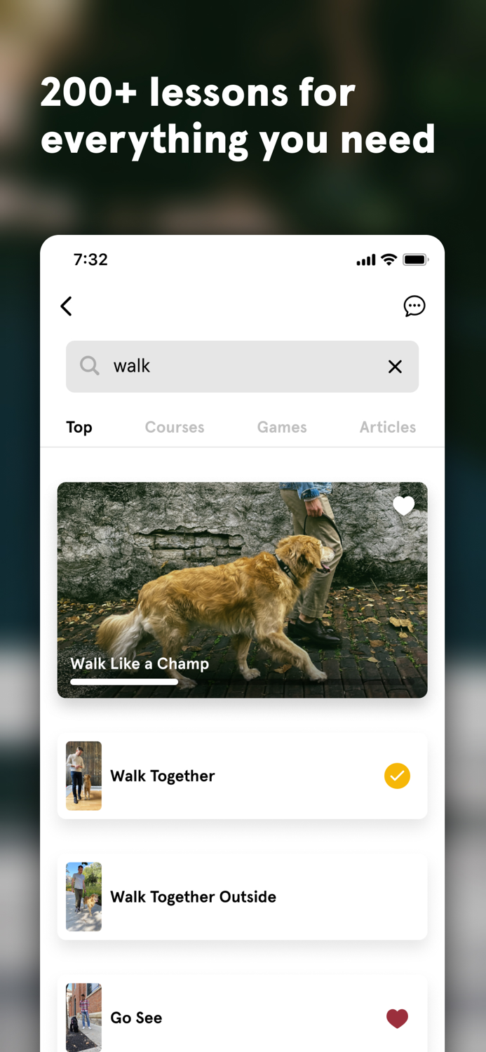 Dog training at home