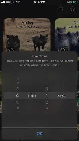 Game screenshot Hog Calls For Hunter apk