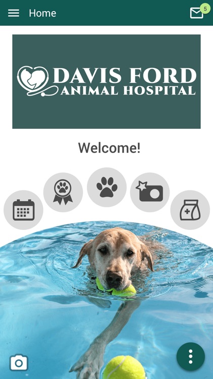 Davis Ford Animal Hospital