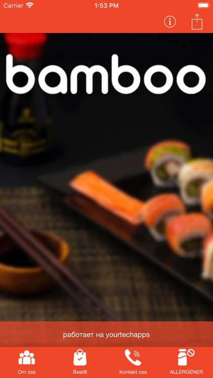 Bamboo Bjerke