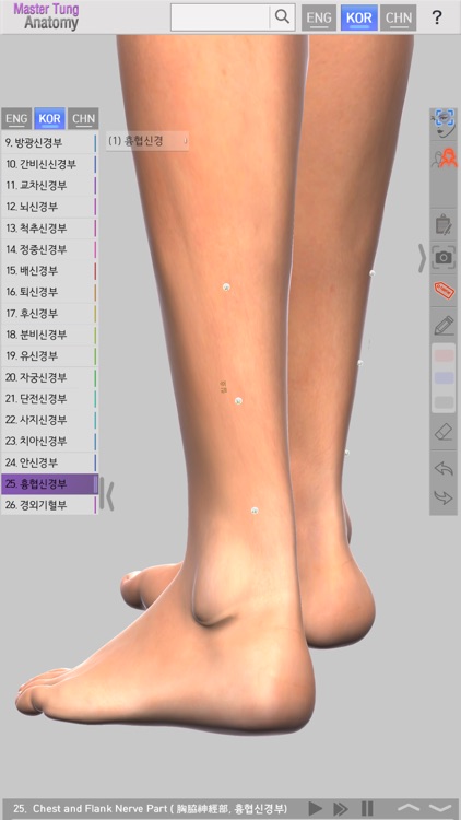 Master Tung`s Acupoint Anatomy screenshot-3