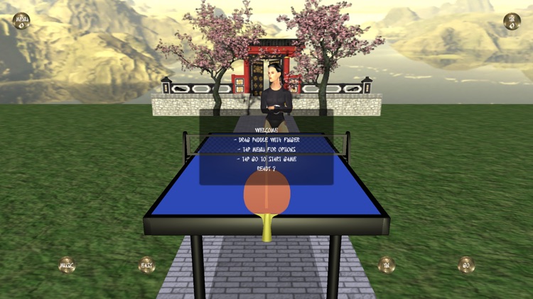 Zen Table Tennis