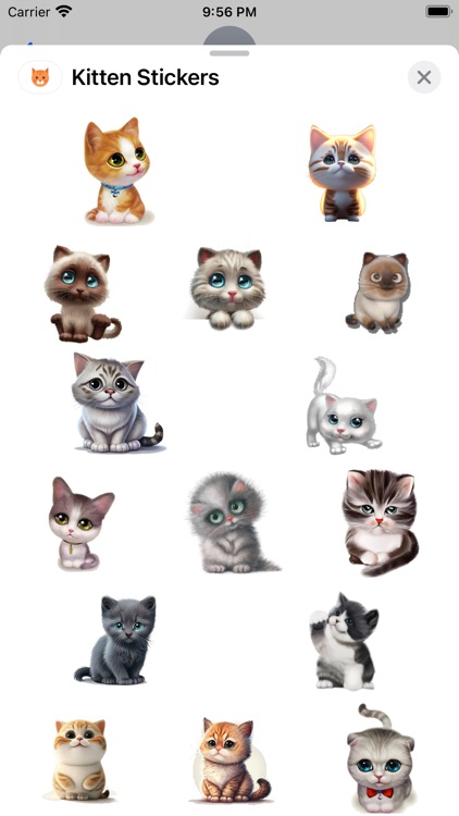 Kitten Stickers