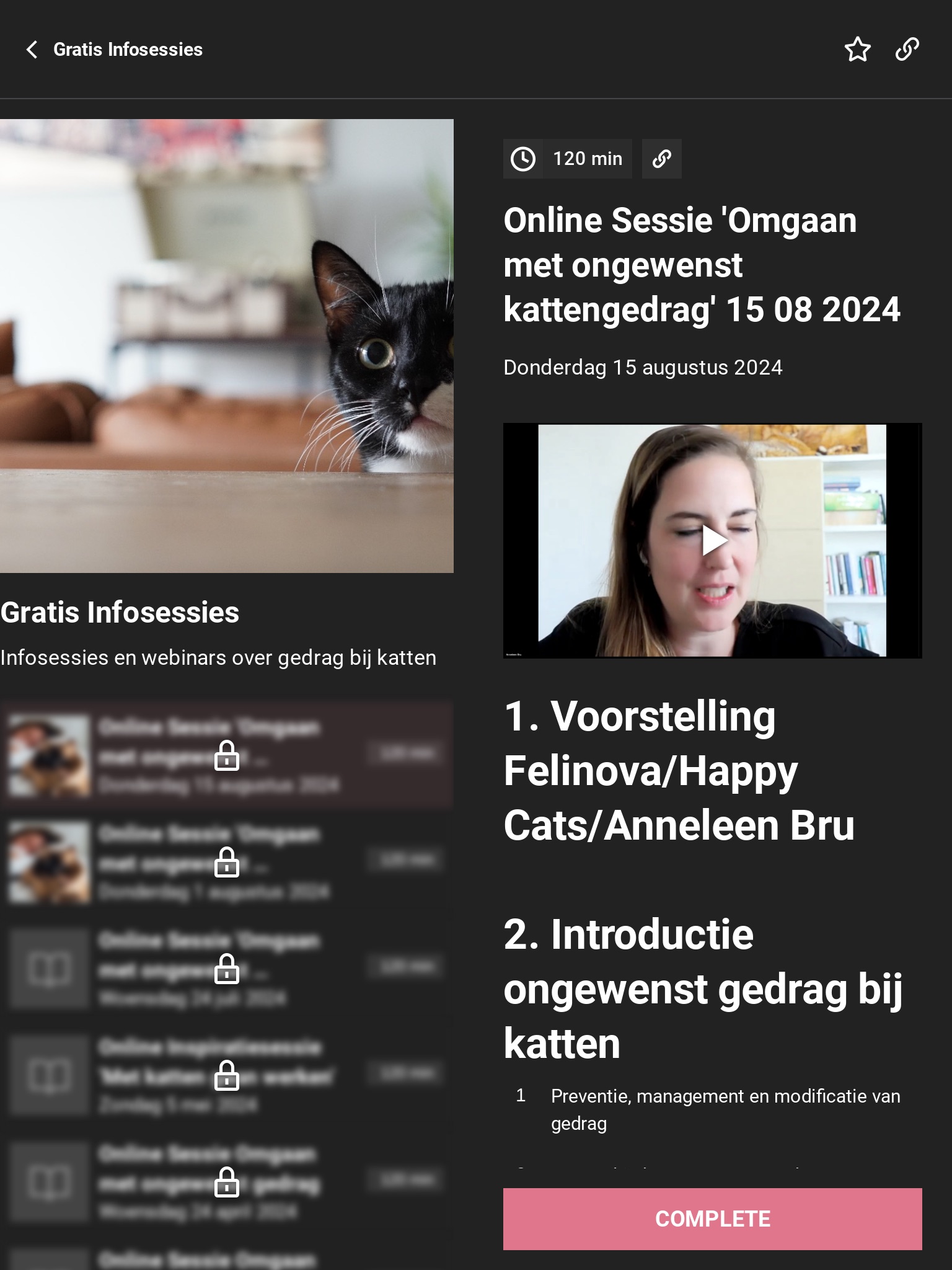 Felinova screenshot 3