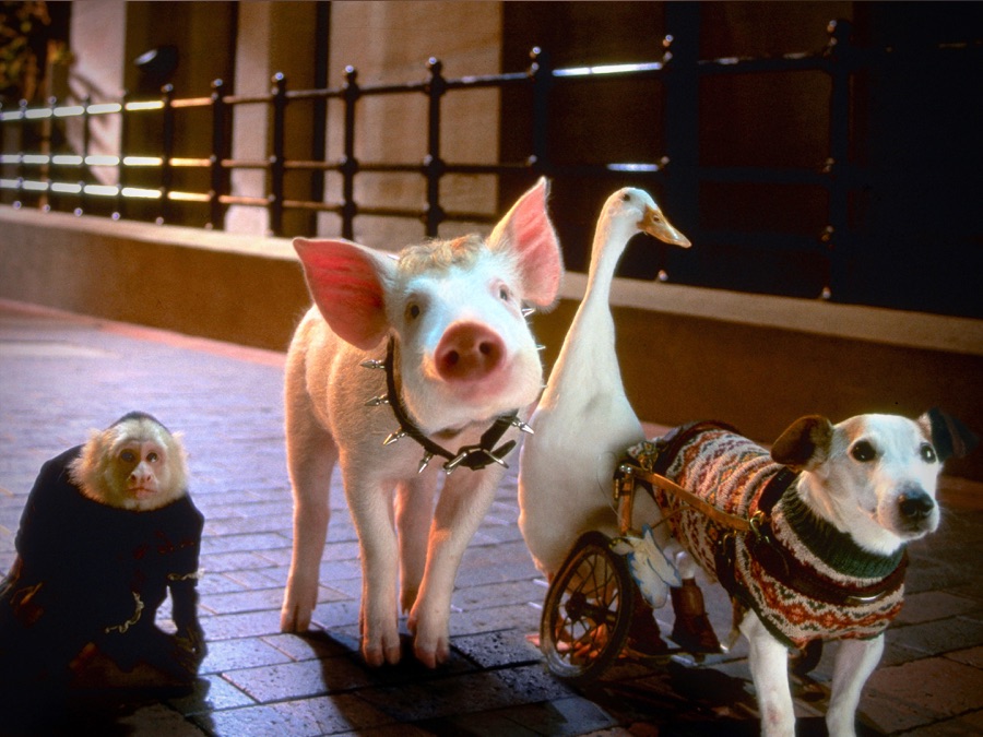 kække gris kommer til byen | Apple TV (DK)