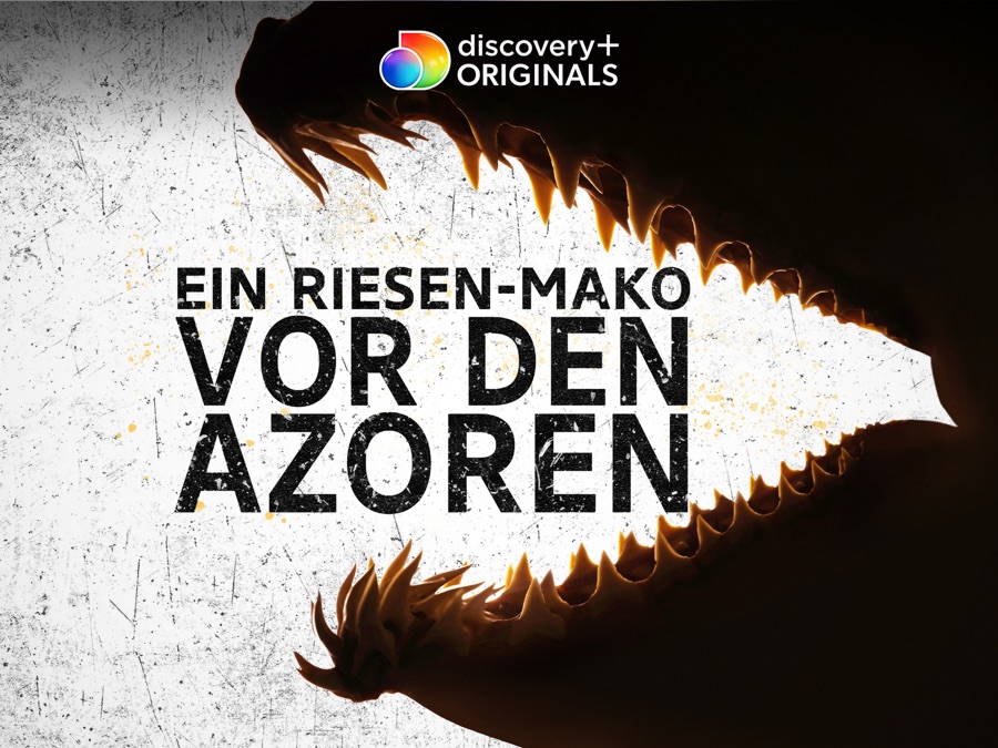 Ein Riesen-Mako vor den Azoren | Apple TV (DE)