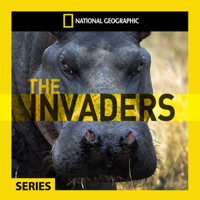 The Invaders - Feral Pig Plague artwork