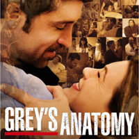 Grey's Anatomy - Geister artwork