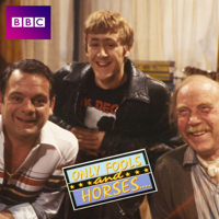 Only Fools and Horses - Series 1, Big Brother artwork