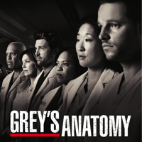 Grey's Anatomy - Grey's Anatomy, Staffel 7 artwork