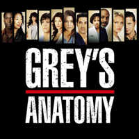 Grey's Anatomy - Grey's Anatomy, Staffel 3 artwork