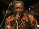 Got My Mojo Working - Muddy Waters