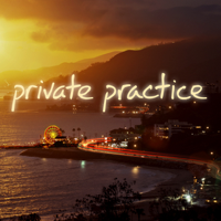 Private Practice - Private Practice, Season 4 artwork