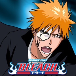 Bleach Staffel 17