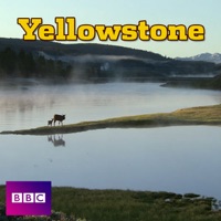 Télécharger Yellowstone, Series 1 Episode 1