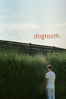 Dogtooth - Yorgos Lanthimos