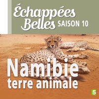 Télécharger Namibie, terre animale Episode 1