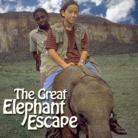 Télécharger The Great Elephant Escape Episode 1