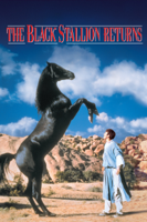 Robert Dalva - The Black Stallion Returns artwork