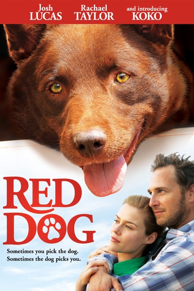 Red Dog Poster