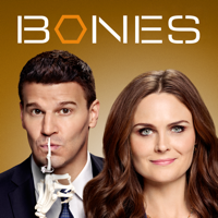 Bones - Bones, Season 9 artwork