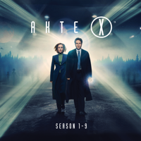 The X-Files - Akte X, Staffel 1 - 9 Die komplette Serie artwork