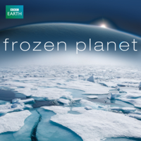 Frozen Planet - Frozen Planet artwork