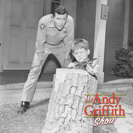 andy griffith prisoner of love