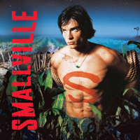 Smallville - Smallville, Season 1 artwork