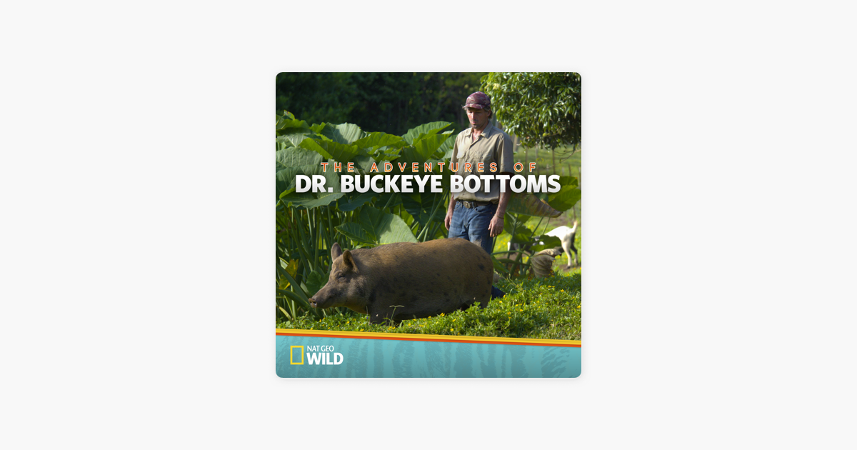 ‎The Adventures of Dr. Buckeye Bottoms, Season 1 on iTunes