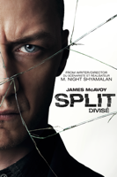 M. Night Shyamalan - Split (2017) artwork