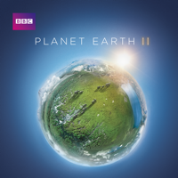 Planet Earth II - Planet Earth II artwork