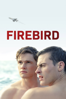 Firebird - Peeter Rebane