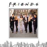 Friends - Friends, Staffel 8 artwork