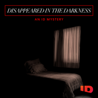 Disappeared in the Darkness: An ID Mystery - Disappeared in the Darkness: An ID Mystery artwork