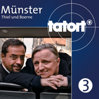 Tatort Münster - Tatort Münster, Vol. 3 artwork