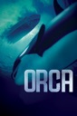 Affiche du film Orca