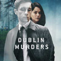 Dublin Murders - Dublin Murders, Series 1 artwork