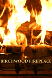 Birchwood Fireplace - Unknown Cover Art