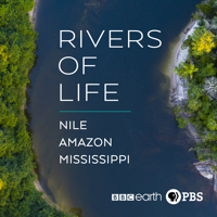 Rivers of Life - Rivers of Life artwork