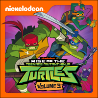 Rise of the Teenage Mutant Ninja Turtles - Finale Part 3: Anatawa Hitorijanai/Finale Part 4: Rise artwork