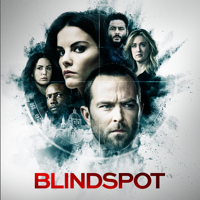 Blindspot - Blindspot, Season 5 artwork