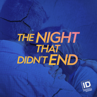 The Night That Didn't End - Enter Frame Left artwork