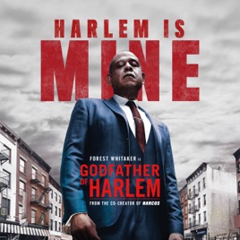 Godfather Of Harlem Season 1 On Itunes