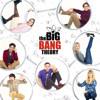 The Big Bang Theory - The Big Bang Theory: The Complete Series  artwork