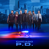 Chicago PD - Chicago PD, Season 7 artwork