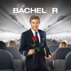 The Bachelor - The Bachelor, Season 24  artwork